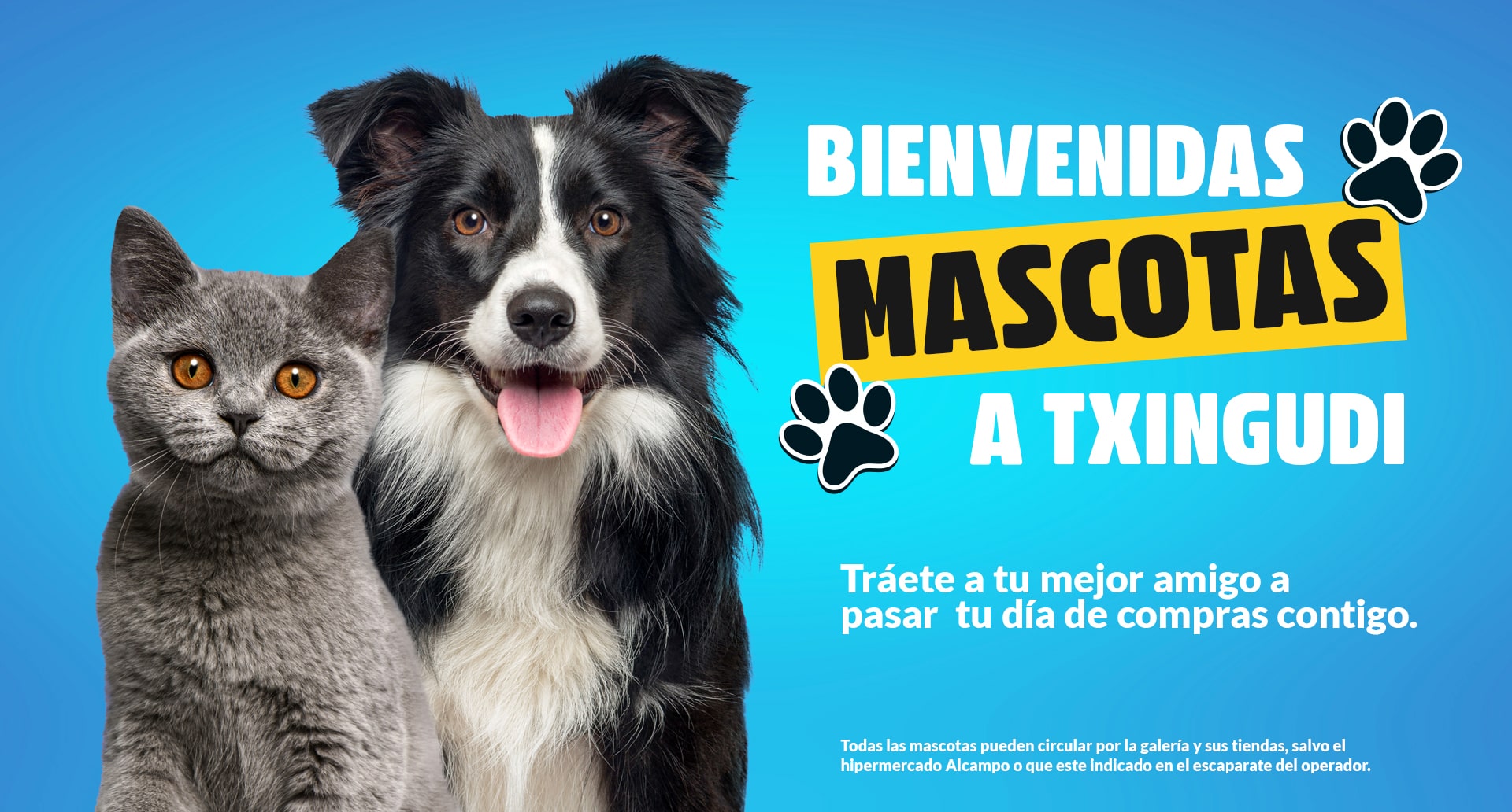 Bienvenidas las mascotas a Txingudi