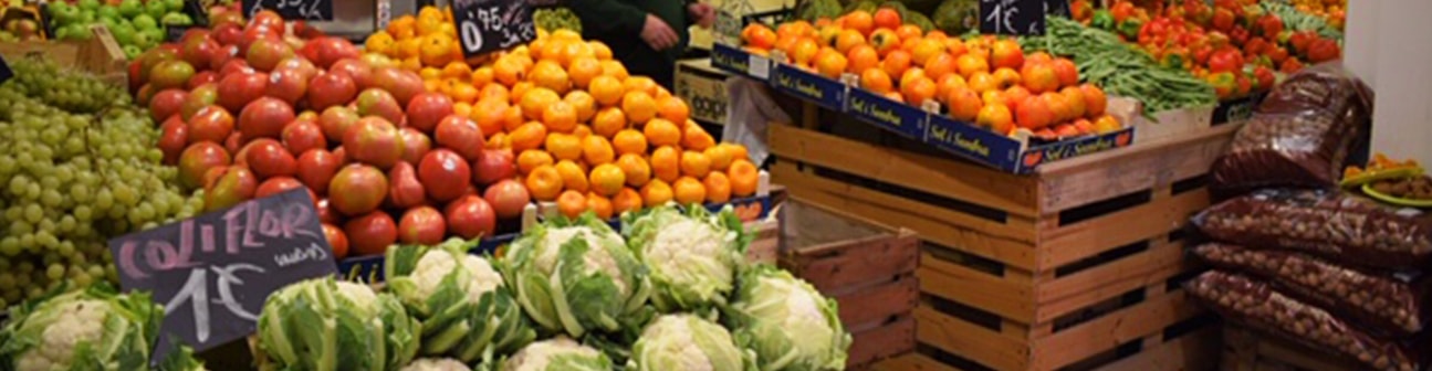 20181127_100505_fruteria-de-la-tierra-01-min.jpg